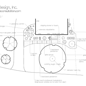 scaled plan2 300x300 c -