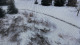 wildlife garden in snow