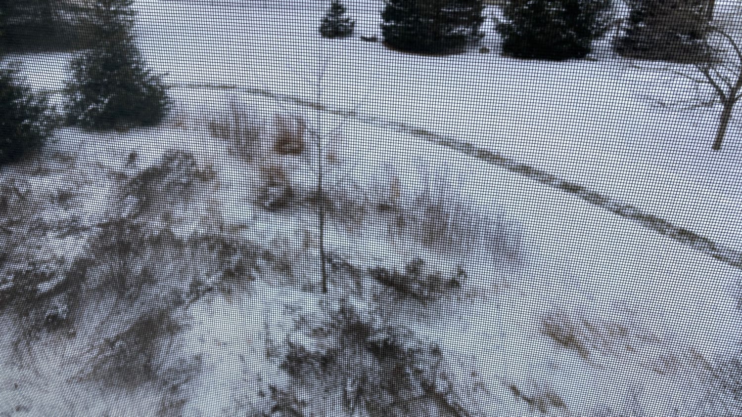 How to help wildlife in the Winter with your snow blower Wildlife garden winter design - How to help wildlife in the Winter with your snow blower
