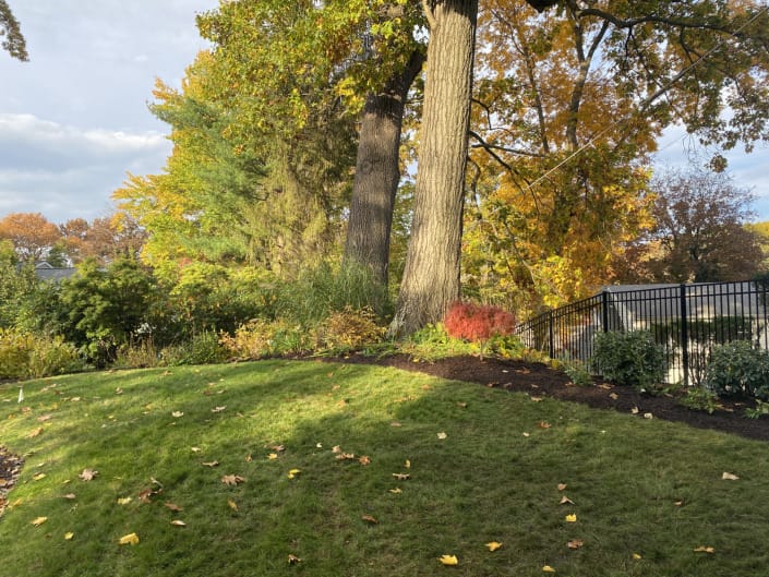 underplanting mature oaks for pollinators underplanting mature oaks for pollinators