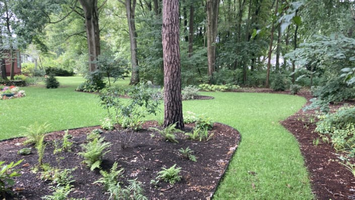woodland landscape designer woodland landscape designer