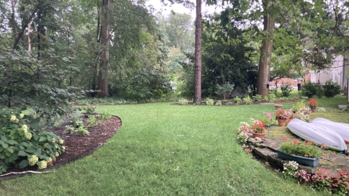 woodland garden design woodland garden design