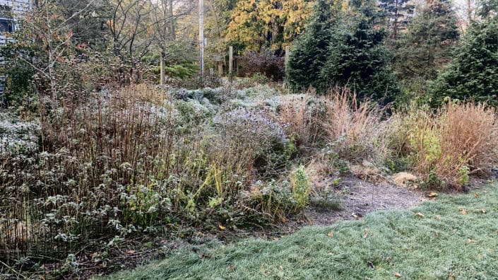 native garden design Winter native garden design Winter