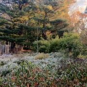 native wildlife garden design Fall