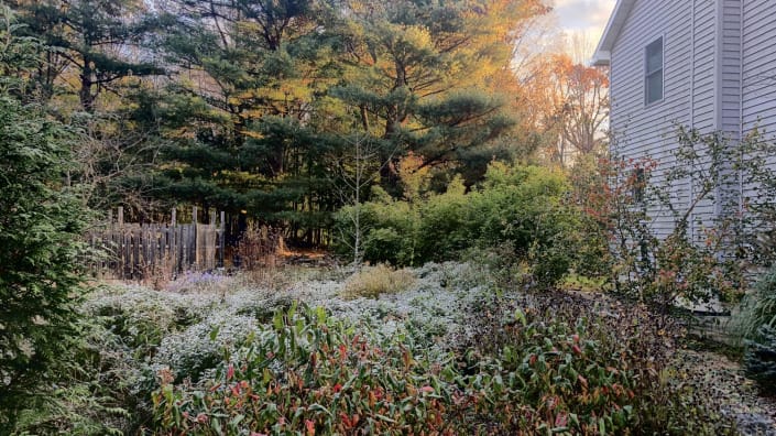 native wildlife garden design Fall native wildlife garden design Fall