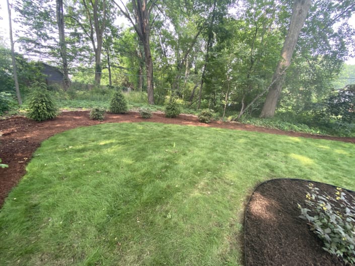 woodland native planting design Schenectady woodland native planting design Schenectady