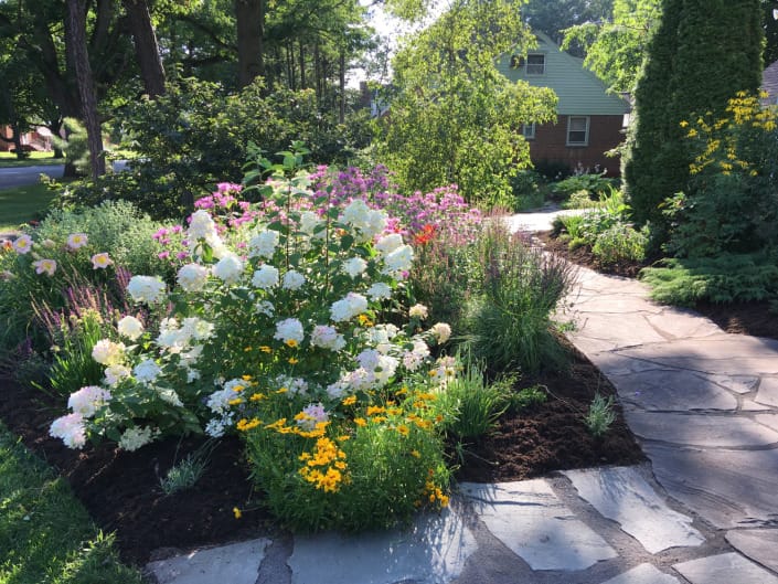 relaxed planting design Albany relaxed planting design Albany
