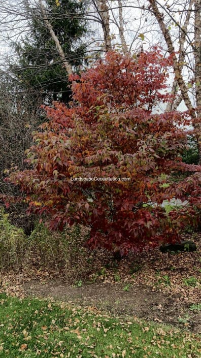 watermarked 65e0c547be669 396x705 - 2023 Project Highlights
