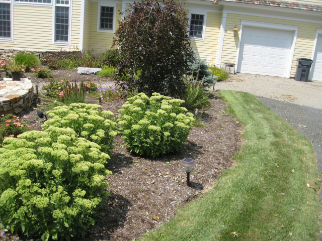 Latham NY landscape design plans 640x480 c - Landscape Master Plan after Latham NY