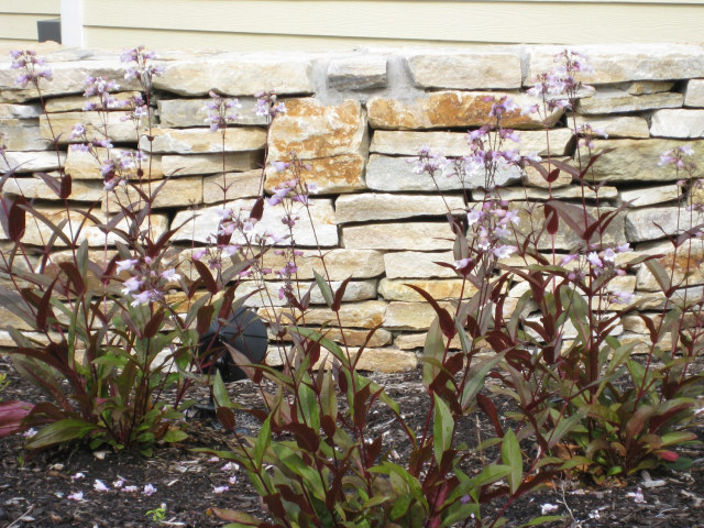Latham NY quartzite natural stone wall 640x480 c - Latham NY master plan after