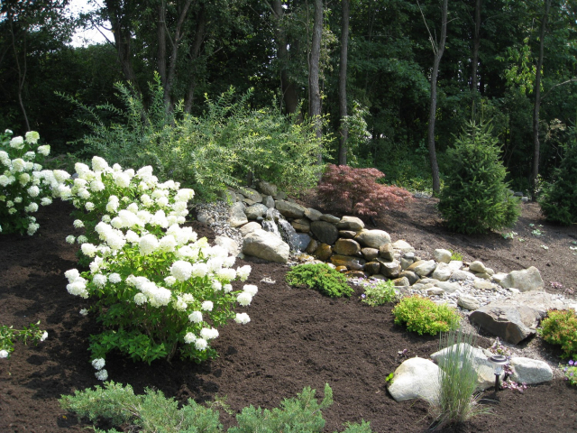 Latham NY sloped backyard water feature planting 640x480 c - Latham NY master plan after